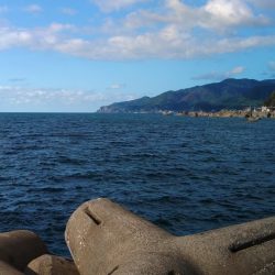 今シーズンラストエギング